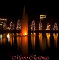 Christmas Reflection - Christmas Card Digital Art by Flees Photos Christmas Reflection - Christmas Card Digital Art by Flees Photos