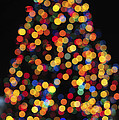Christmas Tree Lights by Terry DeLuco