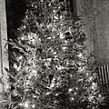 Christmas Tree Memories, Monochrome Photograph by Carol Whaley Addassi Christmas Tree Memories, Monochrome Photograph by Carol Whaley Addassi