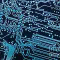 Circuit Board Photograph by Carlos Caetano Circuit Board Photograph by Carlos Caetano