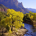 Classic Zion Photograph by Chad Dutson Classic Zion Photograph by Chad Dutson