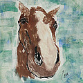 Close Up by Cori Solomon Close Up by Cori Solomon