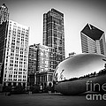 Cloud Gate Bean Chicago Skyline in Black and White by Paul Velgos Cloud Gate Bean Chicago Skyline in Black and White by Paul Velgos
