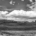 Quiet Prairie #1 Photograph by Jon Glaser
