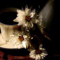 Coffee And Daisies by Lois Bryan Coffee And Daisies by Lois Bryan