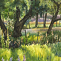 Colorado Evening Shadows Painting by Anne Gifford Colorado Evening Shadows Painting by Anne Gifford