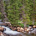 Colorado Rocky Mountain Forest Stream by James BO Insogna Colorado Rocky Mountain Forest Stream by James BO Insogna