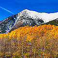 Colorado Rocky Mountain Independence Pass Autumn Panorama Photograph by James BO Insogna Colorado Rocky Mountain Independence Pass Autumn Panorama Photograph by James BO Insogna