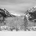 Colorado Rocky Mountain Winter Horseshoe Park BW Photograph by James BO Insogna Colorado Rocky Mountain Winter Horseshoe Park BW Photograph by James BO Insogna