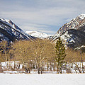 Colorado Rocky Mountain Winter Horseshoe Park Photograph by James BO Insogna Colorado Rocky Mountain Winter Horseshoe Park Photograph by James BO Insogna
