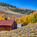 Colorado Rustic Rural Barn with Autumn Colors Photograph by James BO Insogna Colorado Rustic Rural Barn with Autumn Colors Photograph by James BO Insogna