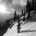 Colorado Winter Shadows Photograph by Cascade Colors Colorado Winter Shadows Photograph by Cascade Colors