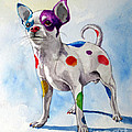 Colorful Dalmatian Chihuahua Painting by Christopher Shellhammer Colorful Dalmatian Chihuahua Painting by Christopher Shellhammer