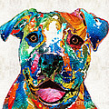 Colorful Dog Pit Bull Art - Happy - By Sharon Cummings Painting by Sharon Cummings Colorful Dog Pit Bull Art - Happy - By Sharon Cummings Painting by Sharon Cummings