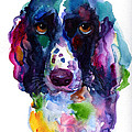 Colorful English Springer Setter Spaniel dog portrait art Painting by Svetlana Novikova Colorful English Springer Setter Spaniel dog portrait art Painting by Svetlana Novikova