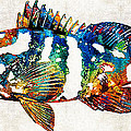 Colorful Grouper 2 Art Fish by Sharon Cummings Painting by Sharon Cummings