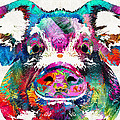 Colorful Pig Art - Squeal Appeal - By Sharon Cummings Painting by Sharon Cummings Colorful Pig Art - Squeal Appeal - By Sharon Cummings Painting by Sharon Cummings