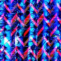 Cosmic Cactus 4 by Michelle Dallocchio Cosmic Cactus 4 by Michelle Dallocchio