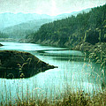 Cougar Dam Photograph by Bonnie Bruno