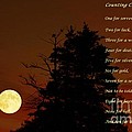 Counting Crows - Old Superstitious Nursery Rhyme by Barbara Griffin Counting Crows - Old Superstitious Nursery Rhyme by Barbara Griffin