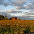 Country Backroad by Rhonda Barrett Country Backroad by Rhonda Barrett