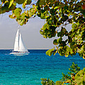 Cozumel Sailboat Photograph by Mitchell R Grosky Cozumel Sailboat Photograph by Mitchell R Grosky