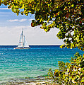 Cozumel Sailboats Photograph by Mitchell R Grosky Cozumel Sailboats Photograph by Mitchell R Grosky