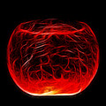 Cracked Glass Photograph by Shane Bechler Cracked Glass Photograph by Shane Bechler