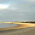 Crane Beach by AnnaJanessa PhotoArt