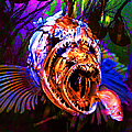 Creatures Of The Deep - Fear No Fish 5d24799 by Wingsdomain Art and Photography Creatures Of The Deep - Fear No Fish 5d24799 by Wingsdomain Art and Photography