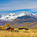 Crested Butte Autumn Landscape Panorama Photograph by James BO Insogna Crested Butte Autumn Landscape Panorama Photograph by James BO Insogna