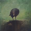 Crow 12 Painting by David Ladmore Crow 12 Painting by David Ladmore