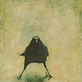 Crow 6 Painting by David Ladmore Crow 6 Painting by David Ladmore