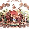 Cuban Por Larranaga Cigars Image Art Photograph by Jo Ann Tomaselli Cuban Por Larranaga Cigars Image Art Photograph by Jo Ann Tomaselli