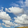 Cumulus Clouds And Aspens Photograph by Yva Momatiuk John Eastcott Cumulus Clouds And Aspens Photograph by Yva Momatiuk John Eastcott