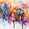 Curious Baby Elephant Painting by Zaira Dzhaubaeva Curious Baby Elephant Painting by Zaira Dzhaubaeva