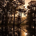 Cypress Sunrise Photograph by Ron Weathers Cypress Sunrise Photograph by Ron Weathers