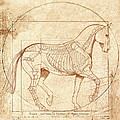 da Vinci Horse in Piaffe Painting by Catherine Twomey da Vinci Horse in Piaffe Painting by Catherine Twomey