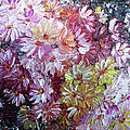 Daisy Mix SOLD by Karin Dawn Kelshall- Best Daisy Mix SOLD by Karin Dawn Kelshall- Best