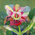 Dancing Orchid II by Shadia Derbyshire Dancing Orchid II by Shadia Derbyshire