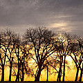 Dancing to the Sunset Photograph by James BO Insogna Dancing to the Sunset Photograph by James BO Insogna