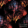 Sunrise - Dawn's Early Light by Luther Fine Art Sunrise - Dawn's Early Light by Luther Fine Art