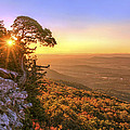 Daybreak on Mt. Magazine - Arkansas - Cedar Tree - Autumn Photograph by Jason Politte Daybreak on Mt. Magazine - Arkansas - Cedar Tree - Autumn Photograph by Jason Politte