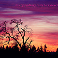 Day's End Photograph by Rory Siegel Day's End Photograph by Rory Siegel
