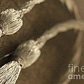 Decorative Tassel Photograph by Amanda Mohler Decorative Tassel Photograph by Amanda Mohler