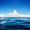 Deep Blue Photograph by Nicklas Gustafsson Deep Blue Photograph by Nicklas Gustafsson