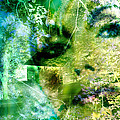 Deep Woods Wanderings by Seth Weaver Deep Woods Wanderings by Seth Weaver