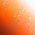 Desert Flowers by Holly Kempe Desert Flowers by Holly Kempe