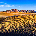 Desert Lines by Chad Dutson Desert Lines by Chad Dutson