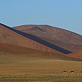 Desert Running by Tony Beck Desert Running by Tony Beck